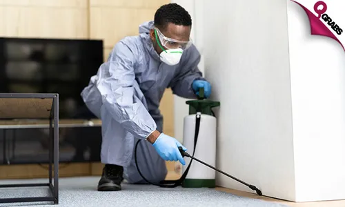 Pest Control Services!